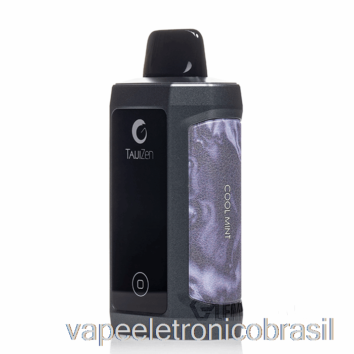 Vape Recarregável Ijoy Taijizen Judo 24000 Descartável Cool Mint